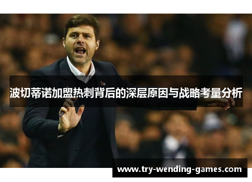 波切蒂诺加盟热刺背后的深层原因与战略考量分析