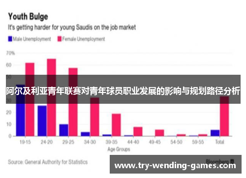 阿尔及利亚青年联赛对青年球员职业发展的影响与规划路径分析