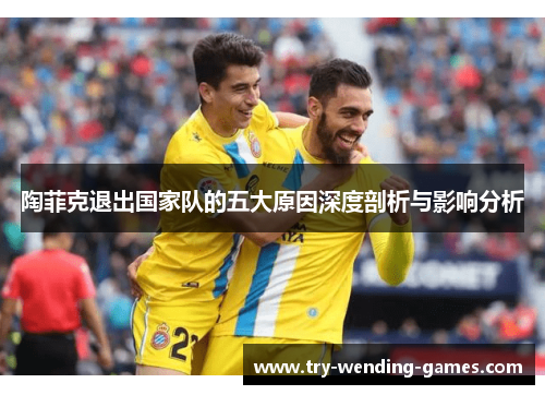 陶菲克退出国家队的五大原因深度剖析与影响分析 陶菲克退出国家队的五大原因深度剖析与影响分析